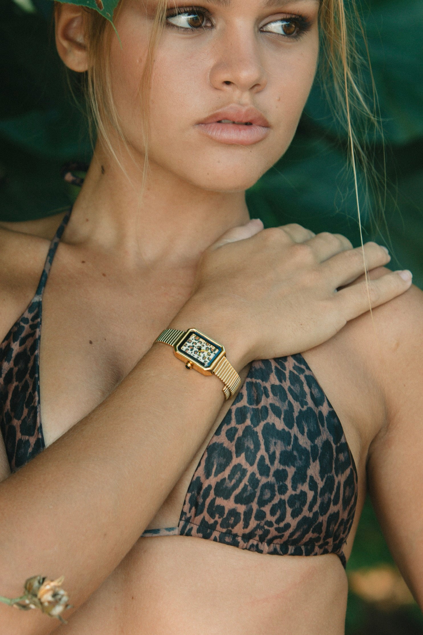 Watch Tiger
