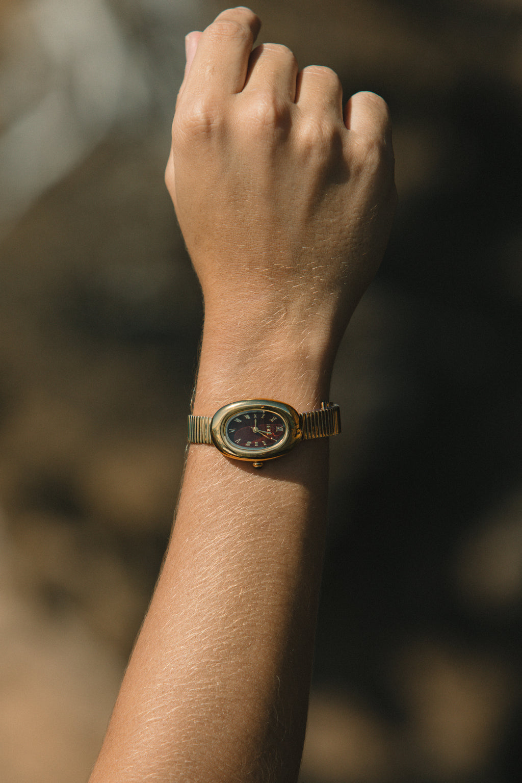Watch Wolf