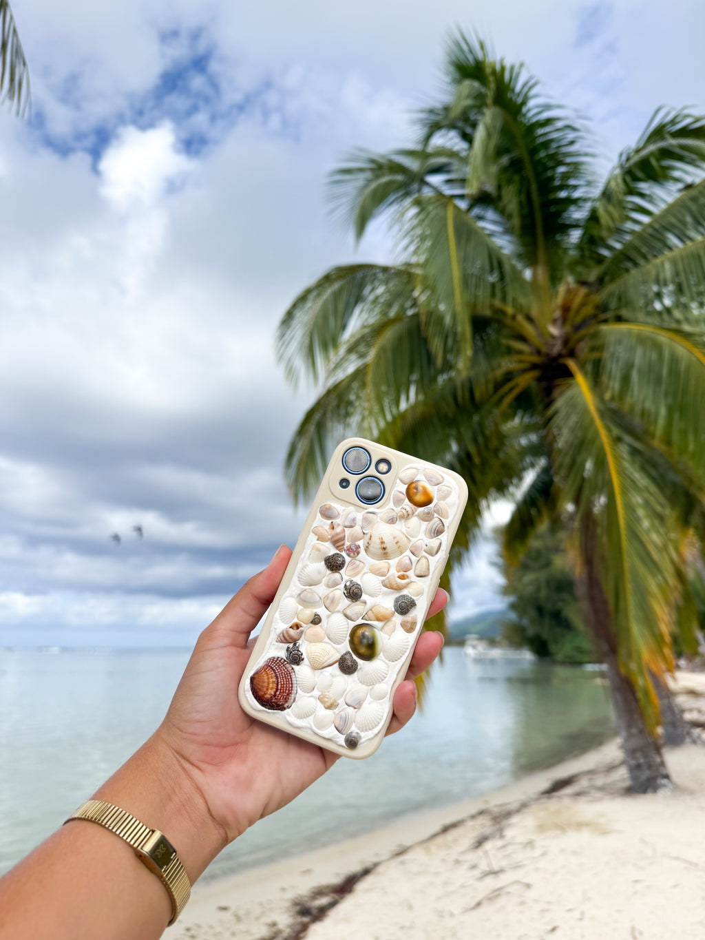 Seashell phone case